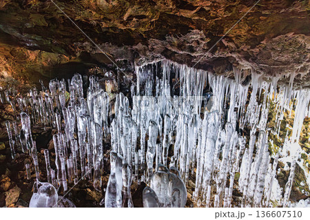 冬の自然造形 百畳敷洞窟の氷筍と氷柱の神秘 136607510