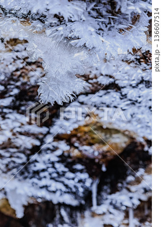 百畳敷洞窟に広がる氷の結晶群 ― 天井を覆う氷の花 136607514