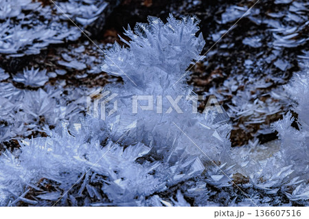氷の花が広がる幻想的な洞窟の世界 136607516