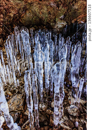 神秘の氷柱群・百畳敷洞窟に広がる氷筍の森 136607518
