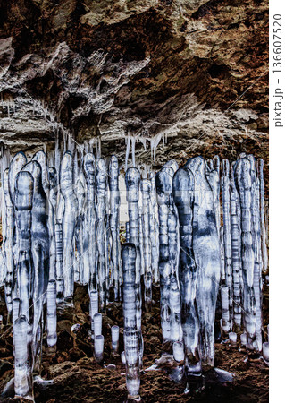 氷の森に包まれる冬の洞窟風景・百畳敷洞窟の氷筍群 136607520