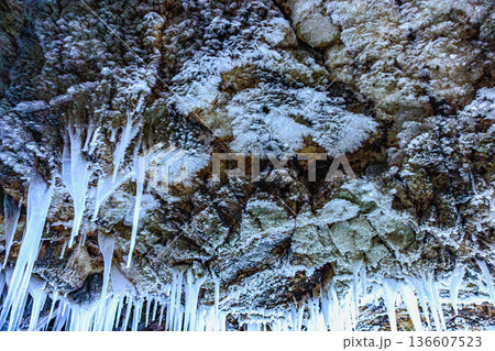 氷の結晶が咲く洞窟の天井(北海道・百畳敷洞窟) 氷の結晶が咲く洞窟の天井(北海道・百畳敷洞窟) 136607523