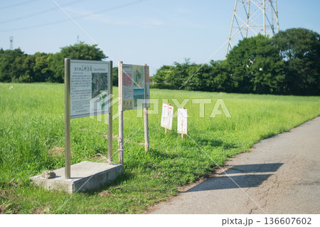 千葉県袖ケ浦市の山野貝塚 136607602