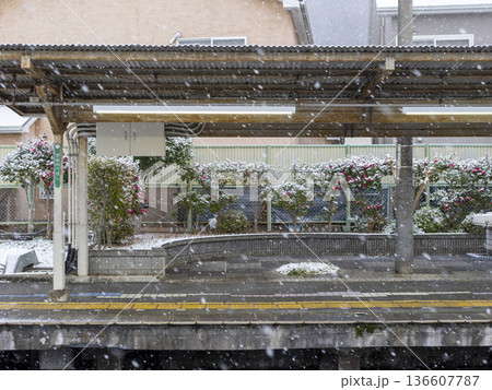 雪が降る能勢電鉄妙見線の絹延橋駅 雪が降る能勢電鉄妙見線の絹延橋駅 136607787