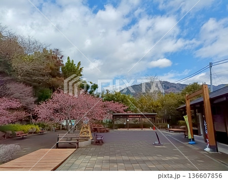 峰温泉大噴湯公園 峰温泉大噴湯公園 136607856