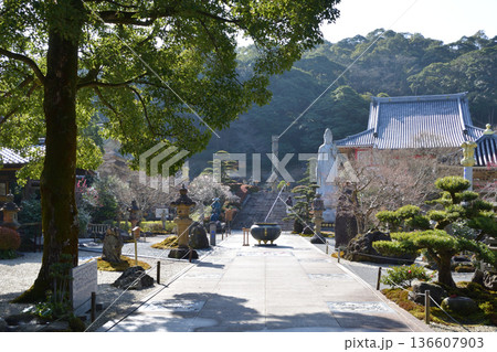 不動山寺と日本庭園 不動山寺と日本庭園 136607903