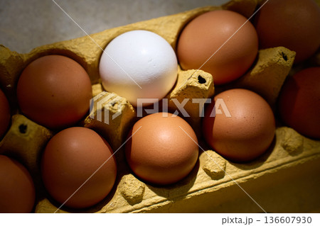 Close up of one white egg among brown chicken eggs in a recycled cardboard carton Close up of one white egg among brown chicken eggs in a recycled cardboard carton 136607930