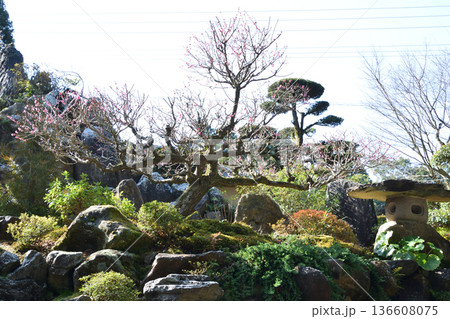 不動山寺と日本庭園 不動山寺と日本庭園 136608075