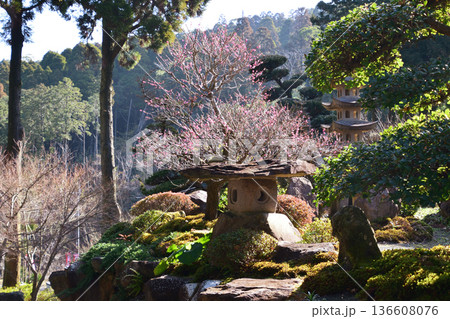 不動山寺と日本庭園  136608076