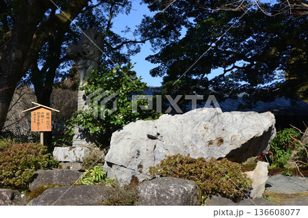 不動山寺と日本庭園 不動山寺と日本庭園 136608077