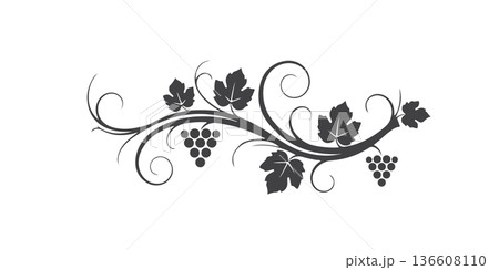 Elegant Decorative Vine with Leaves and Grapes Vector Illustration Elegant Decorative Vine with Leaves and Grapes Vector Illustration 136608110