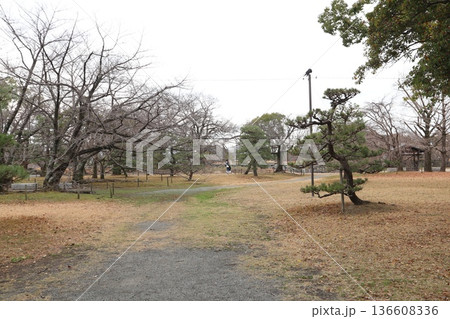 2024年・福岡・福岡市・風景・中央区城内・城・福岡城跡・其の五十 136608336