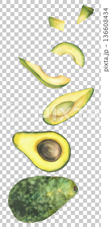 Avocado slices and whole fruit arranged vertically. Hand painted in watercolor style. Isolated from background elements for food branding, packaging, menu design, healthy eating and cosmetic label Avocado slices and whole fruit arranged vertically. Hand painted in watercolor style. Isolated from background elements for food branding, packaging, menu design, healthy eating and cosmetic label 136608434
