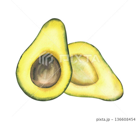 Watercolor avocado illustration. Two halves of fruit with and without stone seed. Green exotic vegetables plant for food, cosmetic, packaging label design. Hand drawn Isolated from background clipart Watercolor avocado illustration. Two halves of fruit with and without stone seed. Green exotic vegetables plant for food, cosmetic, packaging label design. Hand drawn Isolated from background clipart 136608454