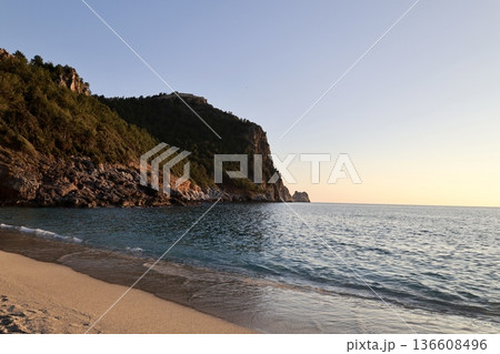 Park green trees. High quality photo 136608496