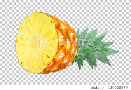 Pineapple illustration pineapple realistic 136608579
