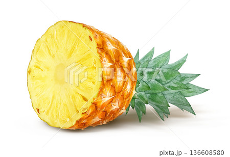 パイナップル イラスト パイン リアル パイナップル イラスト パイン リアル 136608580