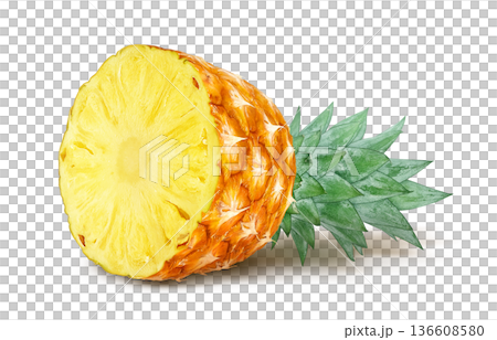 パイナップル イラスト パイン リアル パイナップル イラスト パイン リアル 136608580