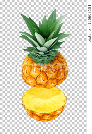 Pineapple illustration pineapple realistic 136608581