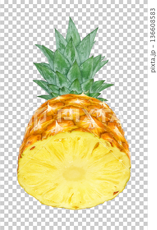 パイナップル イラスト パイン リアル パイナップル イラスト パイン リアル 136608583