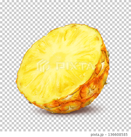 パイナップル イラスト パイン リアル パイナップル イラスト パイン リアル 136608585