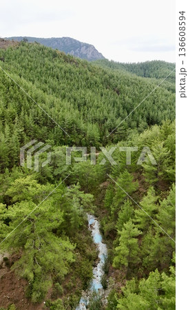 stream in the mountains against the backdrop of nature spring in the mountains against the backdrop of nature. High quality photo 136608594