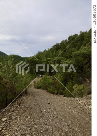 Rural gravel road. High quality photo 136608672