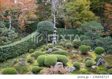 秋の日本庭園 秋の日本庭園 136608727