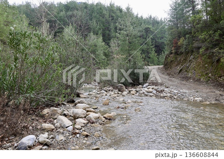 Forest stream path. High quality photo 136608844