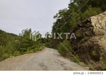 Rural gravel road. High quality photo Rural gravel road. High quality photo 136608852