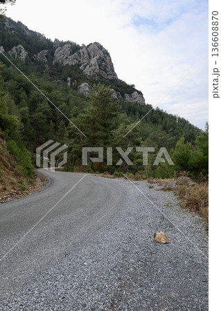 Rural gravel road. High quality photo Rural gravel road. High quality photo 136608870