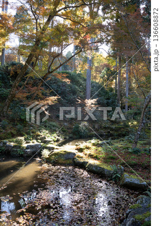 光さす美しい秋の日本庭園 136608872