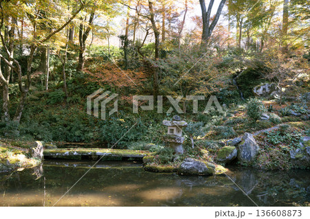 光さす美しい秋の日本庭園 光さす美しい秋の日本庭園 136608873