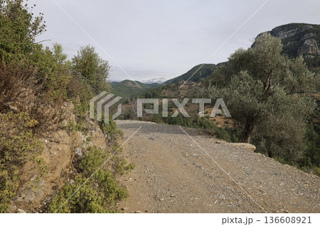 Rural gravel road. High quality photo 136608921