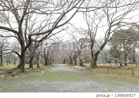 2024年・福岡・福岡市・風景・中央区城内・城・福岡城跡・其の五十二 136608927