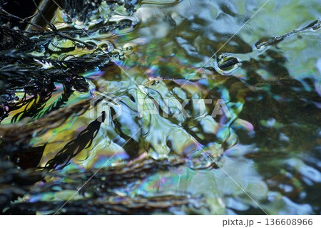 原油の浮いた水面 原油の浮いた水面 136608966