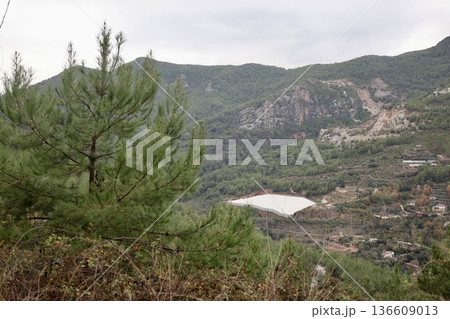 Mountain green landscape greenhouse. High quality photo Mountain green landscape greenhouse. High quality photo 136609013