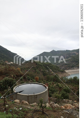 Mountain landscape vegetation. High quality photo 136609201