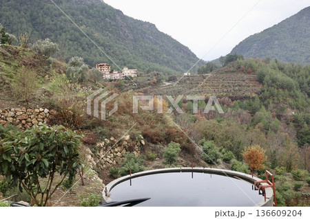 Mountain landscape vegetation. High quality photo 136609204