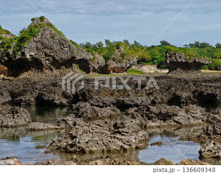 沖縄の自然美（ぐしちゃん浜） 136609348