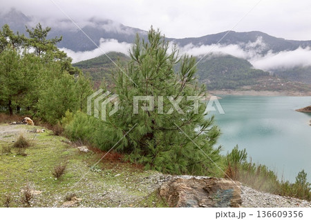 Mountain lake landscape. High quality photo 136609356