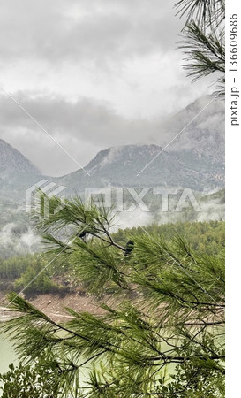 Mountain lake forest. High quality photo 136609686
