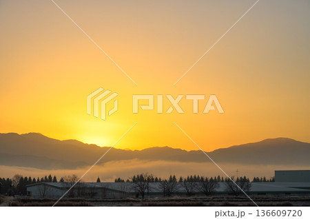 日の出直前の安曇野【1月】 136609720