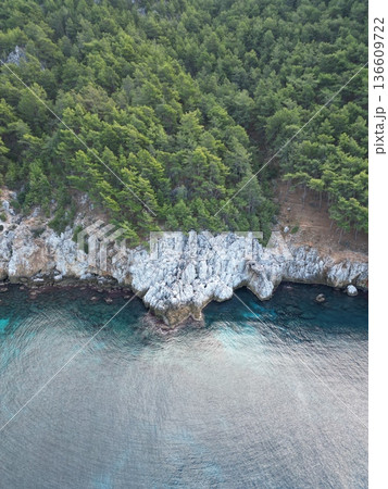 Cliffside forest coastline. High quality photo Cliffside forest coastline. High quality photo 136609722