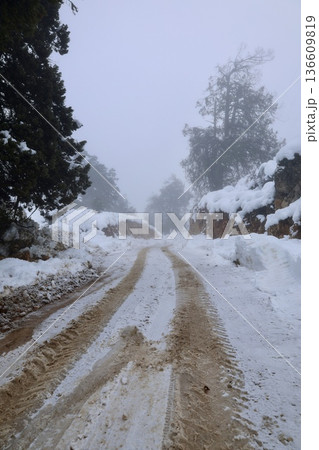 Foggy snowy road. High quality photo 136609819