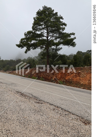 Misty mountain road. High quality photo Misty mountain road. High quality photo 136609846