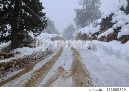 Foggy snowy road. High quality photo Foggy snowy road. High quality photo 136609869