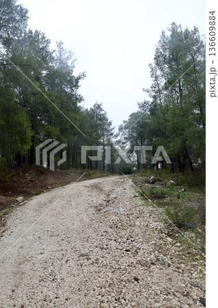 Misty mountain road. High quality photo Misty mountain road. High quality photo 136609884