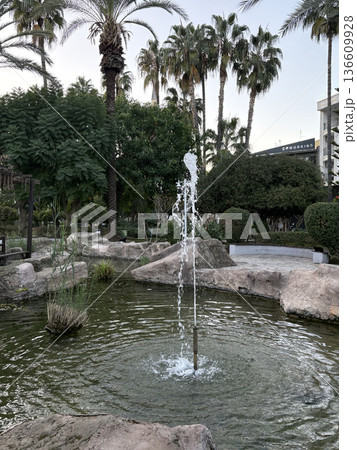 park tropical plants resort landscape. High quality photo 136609928
