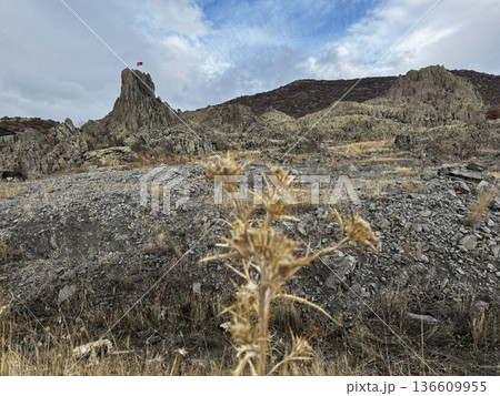 Rocky landscape thistles. High quality photo 136609955